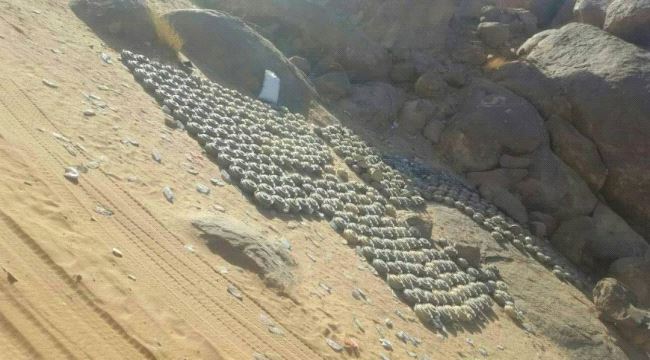 #الجوف .. غارات تستهدف #الحوثيين في صبرين ونزع مئات الألغام من الخليقاء