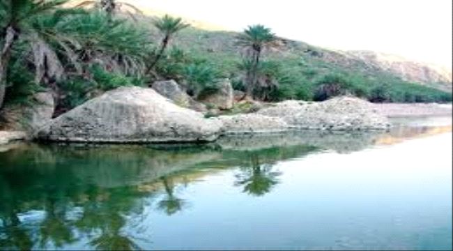 عمان او جنيف مقر تدشينه .. "اليونيب" مشروع التنمية البيئية المرتقبة في سقطرى