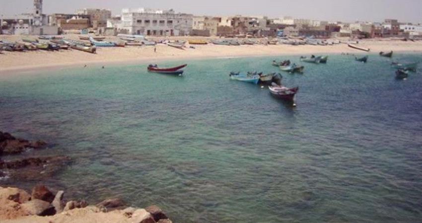 اصابة شخصين بتسمم قناديل البحر  في ساحل قصيعر
