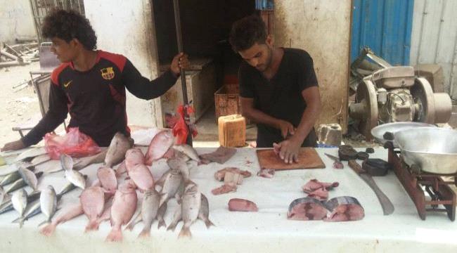 ارتفاع ملحوظ لأسعار السمك في أبين