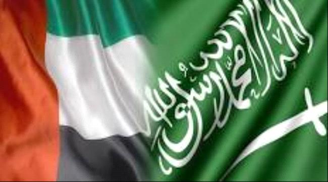 الاعلان عن الهيكل التنظيمي لمجلس التنسيق السعودي - الإماراتي