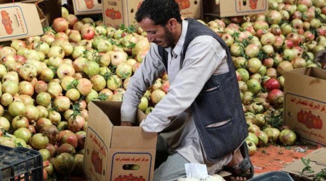 رويترز : حتى رمان اليمن لم يسلم من أضرار الحرب المستعرة في البلاد
