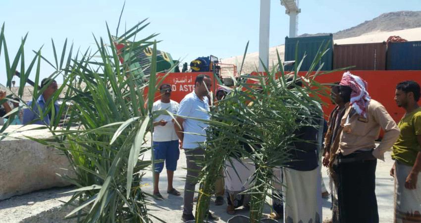 ضبط شحنة نباتات ضارة في أرخبيل سقطرى