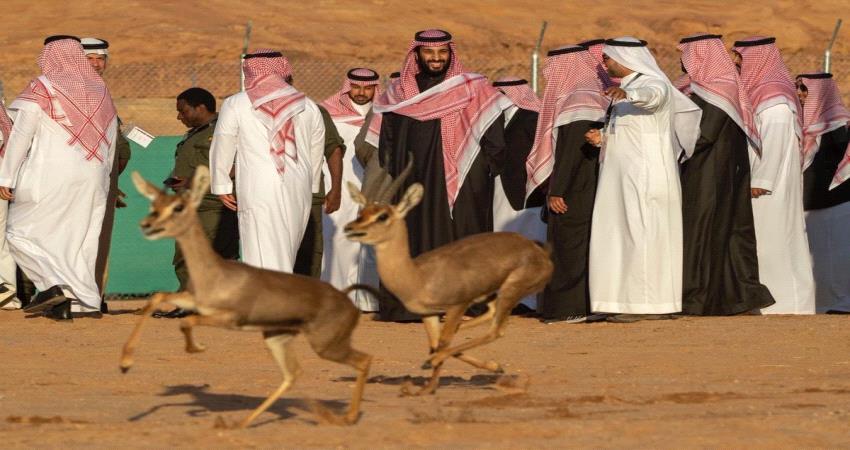 الأمير #محمد_بن_سلمـان يدشن رؤية العلا.. تعرف عل تفاصيل المشروع البيئي والتراثي والسياحي