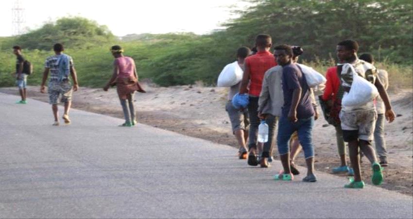 اختفاء ملحوظ للمهاجرين الأفارقة من شوارع #صنـعاء 