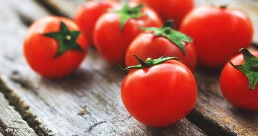 الطماطم يحسّن جودة الحيوانات المنوية ويرفع الخصوبة