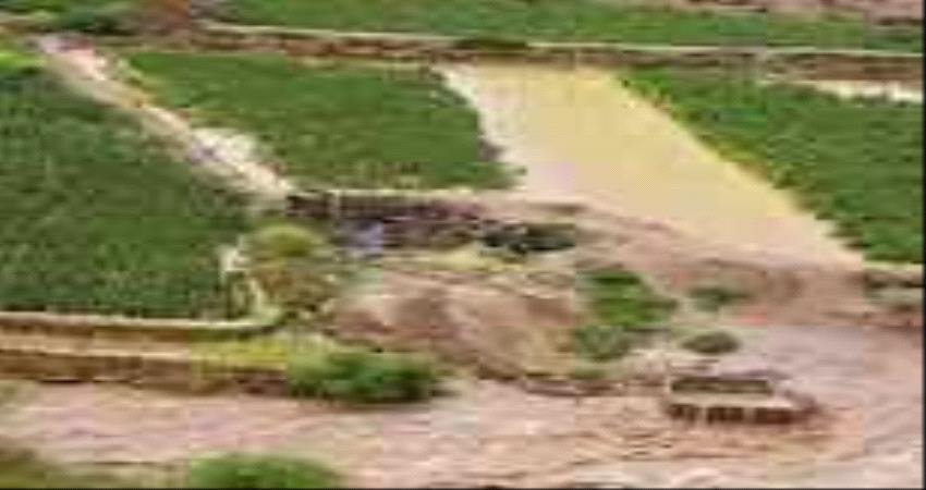 بعد تدفق السيول..  مزارعو ابين يتهمون مكتب الزراعة بعدم الاهتمام في متابعة ما لحق بالاراضي من اضرار