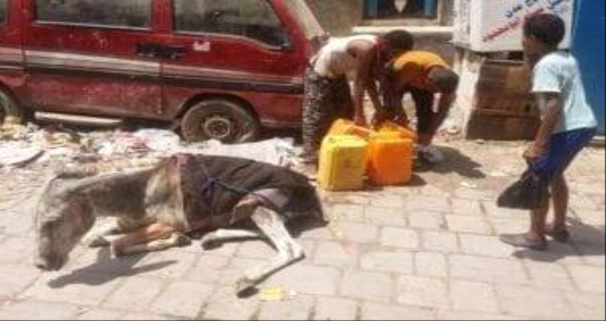 المدنية تُقتل في عدن ..(تقرير خاص) 