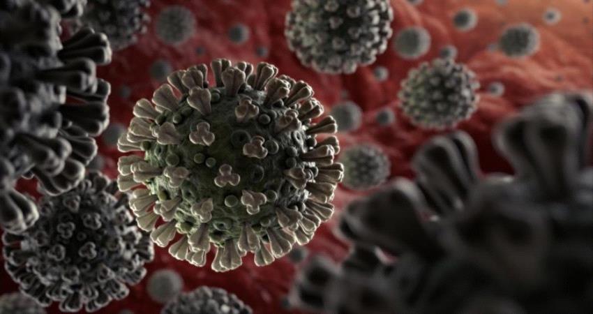 5 اصابات جديدة بفيروس كورونا و 8 حالات شفاء اليوم في اليمن