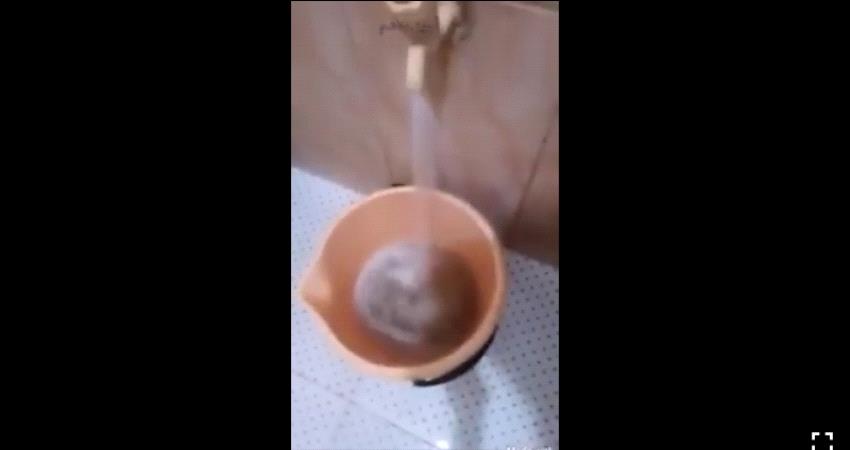 صدق او لا تصدق..  مياه مجاري تصل لمنازل المواطنين في عدن- فيديو