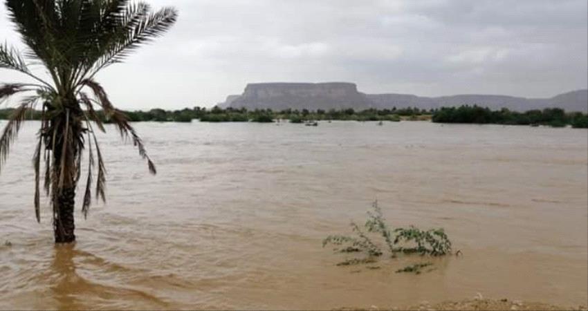 غرق عائلة كاملة بمياه السيول في وادي حضرموت