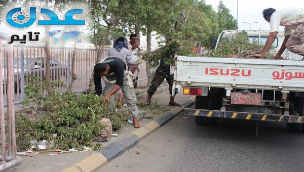 استمرار حملة إعادة التشجير لمدينة عدن (صور)