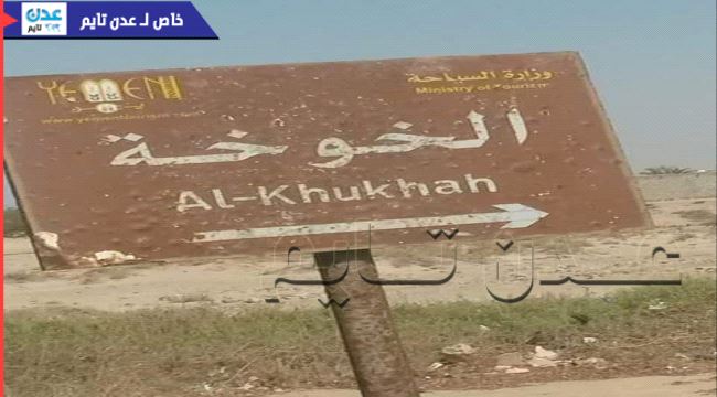 فيديو/ قوات عسكرية ضخمة حررت #الخوخة وتتقدم نحو #الحديدة 