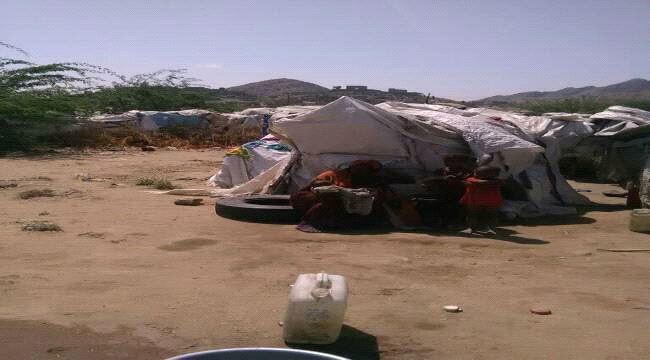  أعداد الأسر النازحة من مناطق وادي شعب الصبيحة تتجاوز 660 أسرة ومناشدات لمد يد المساعدة