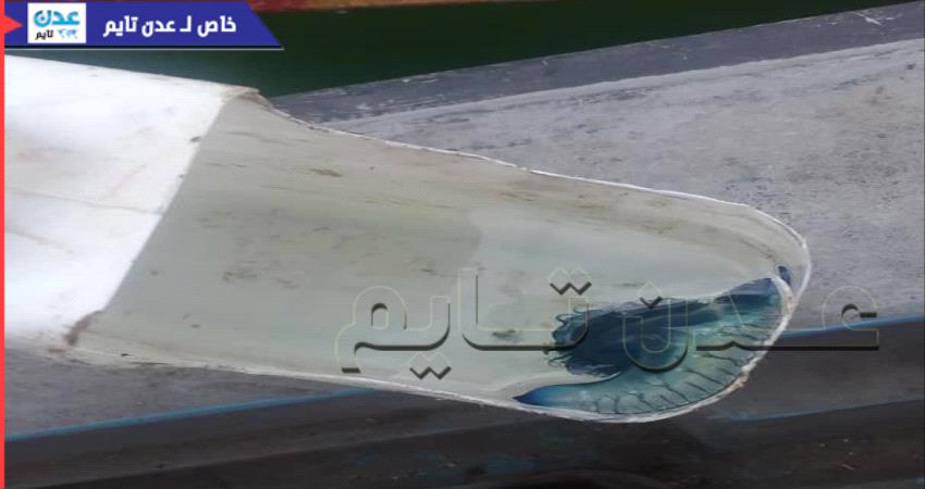 حصري- "قنديل البحر" يجتاح سواحل #حضـرموت عقب تسجيله إصابات في عدن