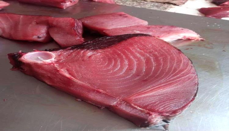 أسعار الأسماك اليوم الخميس بالعاصمة عدن