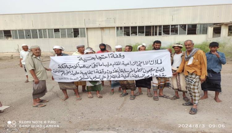 وقفة احتجاجية لملاك الأراضي الزراعية في مصنع معجون الطماطم بالفيوش لحج


