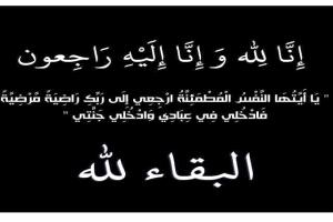 مديرعام رضوم يعزي في وفاة والد امين عام المجلس المحلي بمديرية الروضه محافظة شبوة