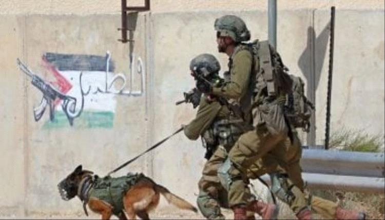 الأمم المتحدة: استخدام الاحتلال الكلاب ضد المعتقلين الفلسطينيين انتهاك خطير