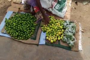 خسائر باهظة لمزارعي الليمون جراء تكدس المحصول في الأسواق
