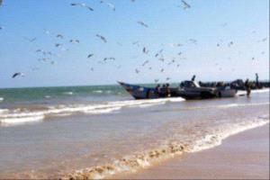 القرصنة الحوثية تحرم الصيادين من مصدر رزقهم