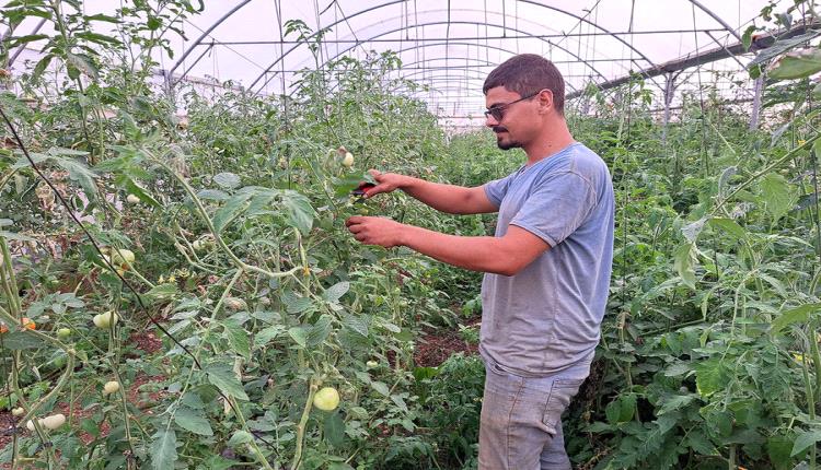 فوضى المشاتل الزراعية بوادي حضرموت.. أسمدة محظورة ومبيدات بلا ضوا..